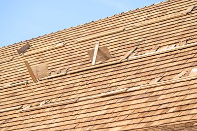 Damaged Shingles